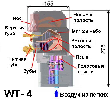  WT-4 